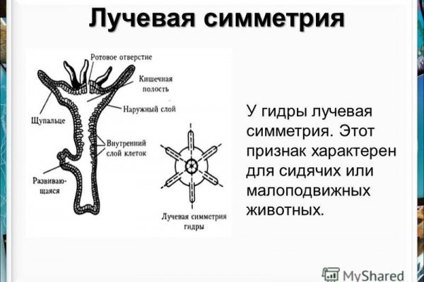 Сайты даркнета